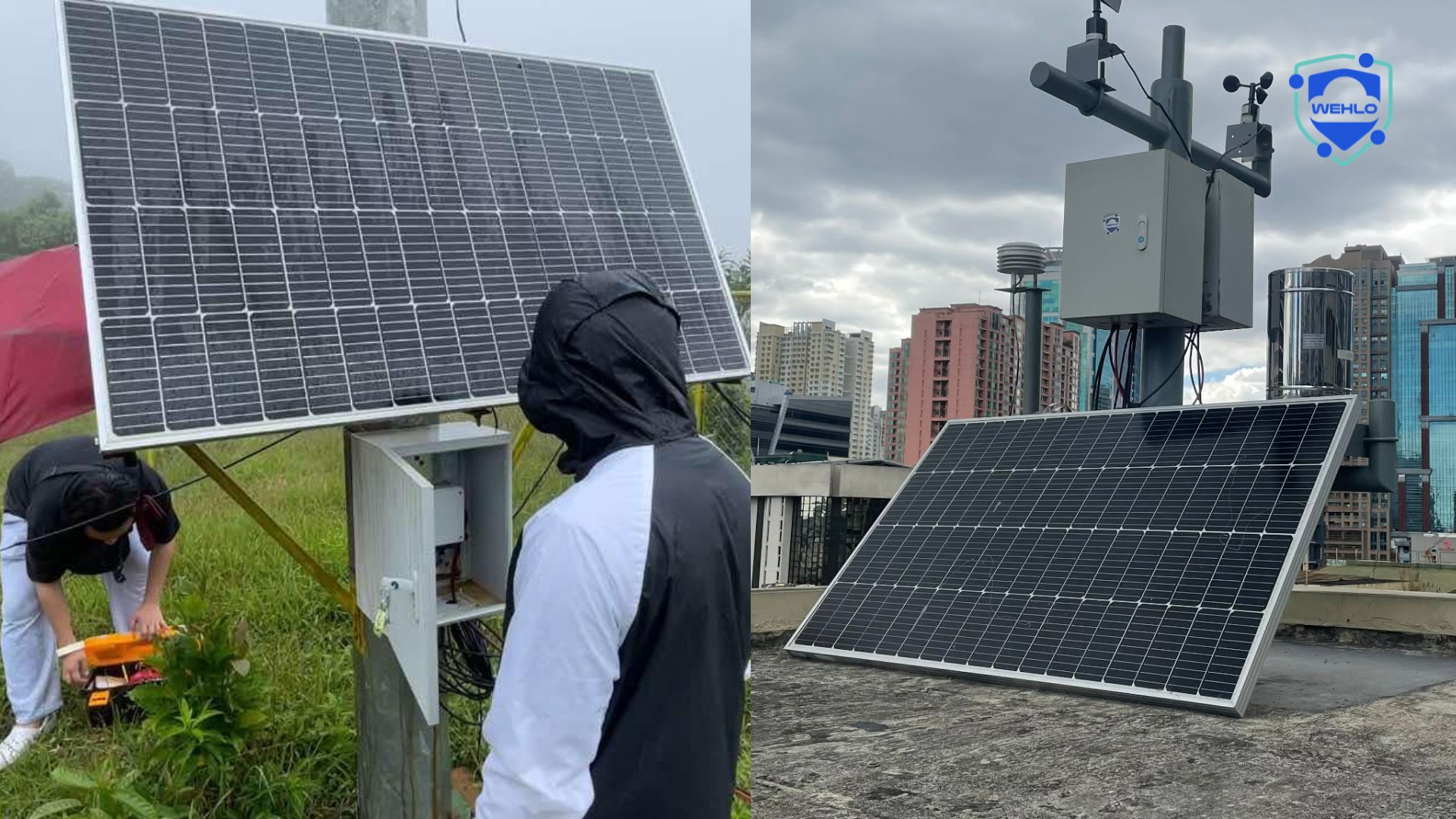 photo 6181317117546794560 w